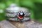Garnet Ring * Solid Sterling Silver* Set of 3 Rings * Vines Floral Full Moon Patterns * Natural Almandine Garnet *  Any Size product 4